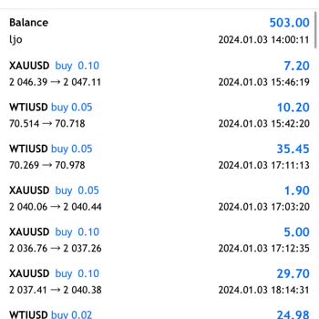 Alz Investing Hesabıma Erişemiyor, Paramı Alamıyorum