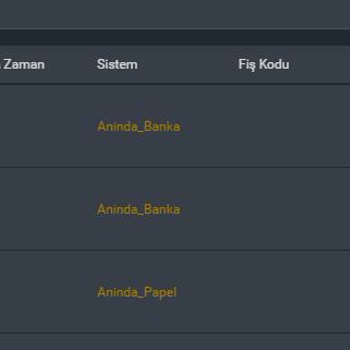 Para Çekme Talebim Gerekçesiz Olarak Reddedildi Ve Bakiyem Silindi