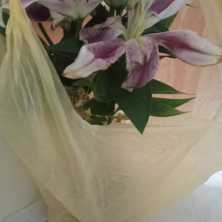 Sipariş Edilen Lilyum Çiçekler Farklı Ve Kötü Kokulu Geldi Müşteri Hizmetleri İlgisiz