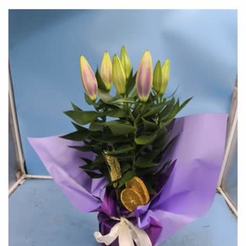 Sipariş Edilen Lilyum Çiçekler Farklı Ve Kötü Kokulu Geldi Müşteri Hizmetleri İlgisiz