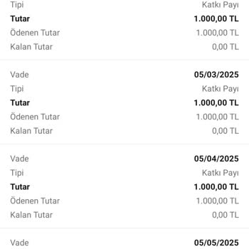 BES İptalinde 7000 TL Ana Paramın İade Edilmemesi Mağduriyetim