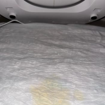 Garanti Kapsamındaki Akıllı Kedi Tuvaletinde Sürekli Ped Sızıntısı Ve Çözüm Eksikliği