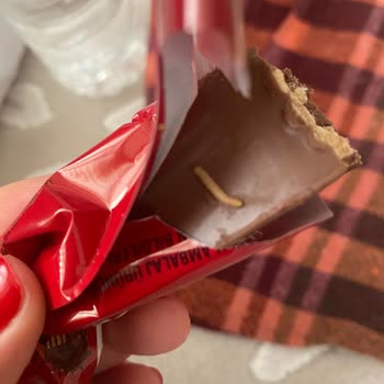 Çikolatanın İçinden Çıkan Solucan Ve Müşteri Hizmetlerine Ulaşamama