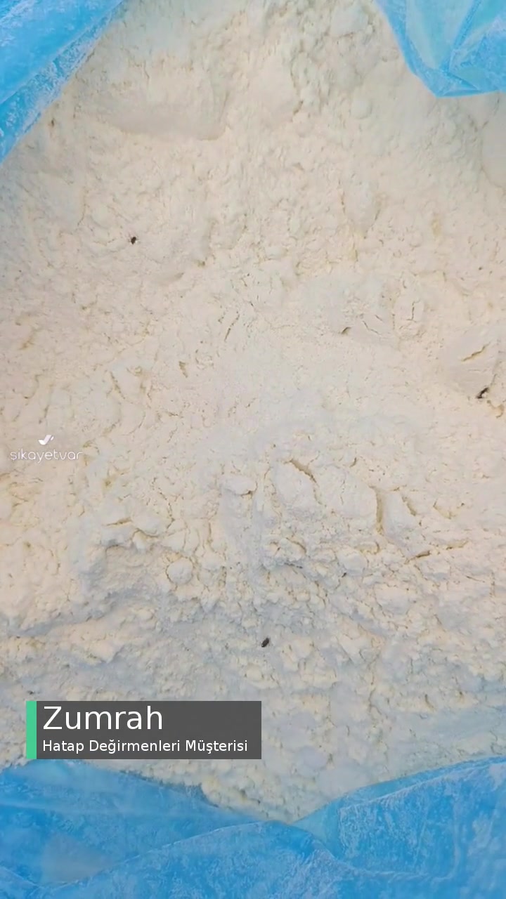 Hatap Unda Böceklenme videonun kapak resmi