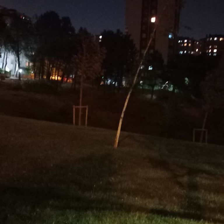 Parktaki Ağaçların Sürekli Kuruması Ve Sağlıksız Gelişimi İçin Çözüm Bekliyorum