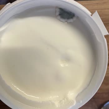 Sütaş Süzme Yoğurt Küflü Çıktı, Müşteri Hizmetlerine Ulaşamıyorum