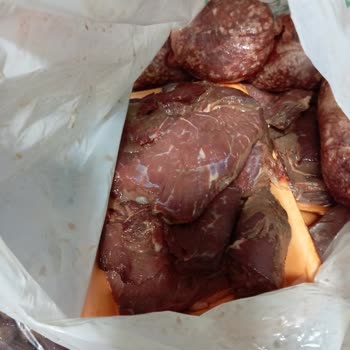 Arçelik Derin Dondurucu Arızası Nedeniyle Maddi Zarar Ve Müşteri Hizmetleri İlgisizliği