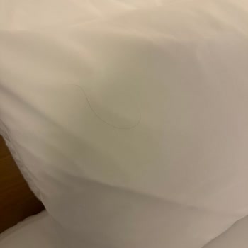 Novotel Trabzon'da Hijyen Ve Personel Sorunları Nedeniyle Hayal Kırıklığı