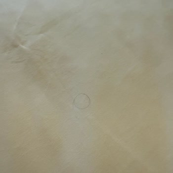 Novotel Trabzon'da Hijyen Ve Personel Sorunları Nedeniyle Hayal Kırıklığı