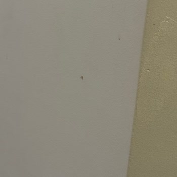 Novotel Trabzon'da Hijyen Ve Personel Sorunları Nedeniyle Hayal Kırıklığı