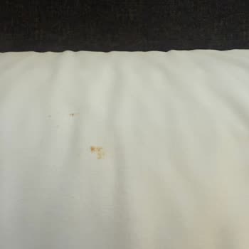 Novotel Trabzon'da Hijyen Ve Personel Sorunları Nedeniyle Hayal Kırıklığı