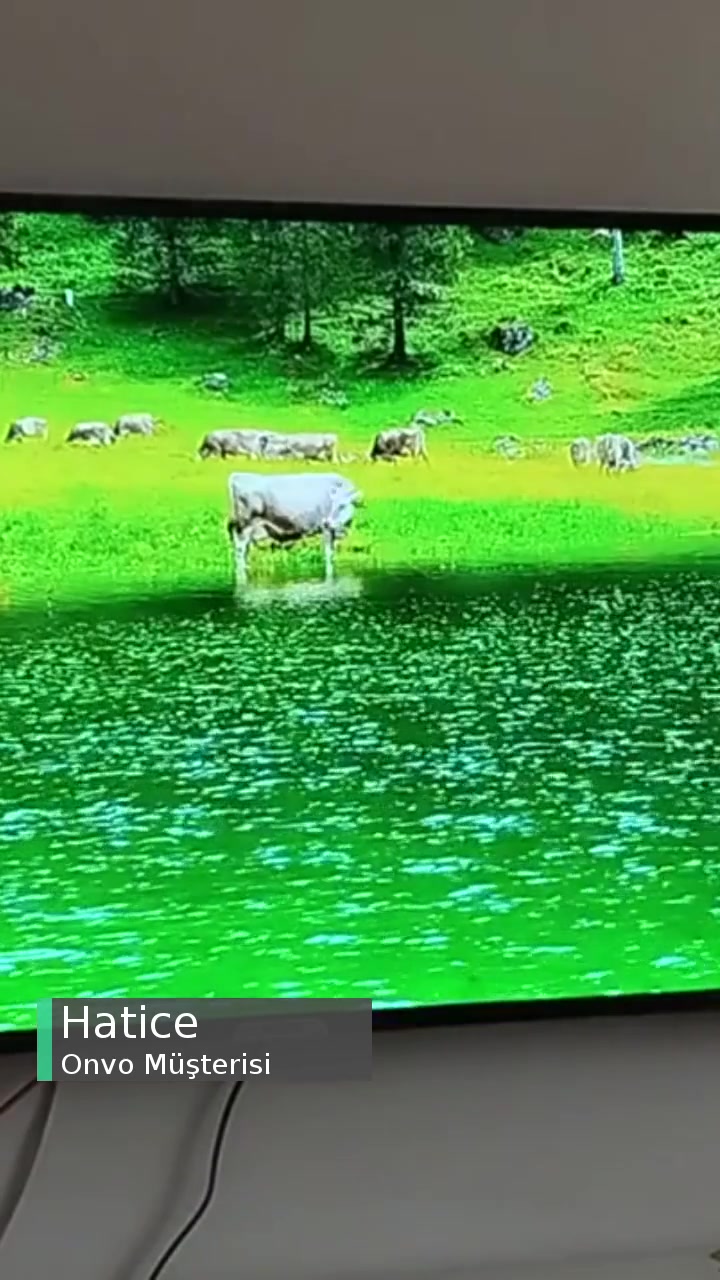 55'Onvo TV Yazılım Açığı, TV'yi Kullanamıyorum! videonun kapak resmi