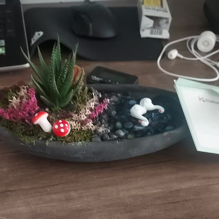 Sipariş Edilen Teraryum Görseldeki Gibi Gelmedi, Destek Alamadım