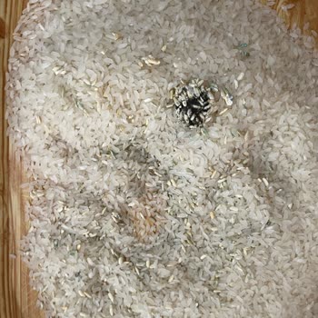 Aldığım Pirinçte Küf Ve Kötü Koku Çıktı, İade Talep Ediyorum