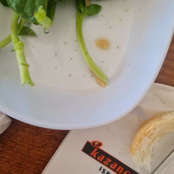 Beyran Çorbasında Streç Film, Rokada Böcek Ve İlgisiz Personel Nedeniyle Mağduriyet