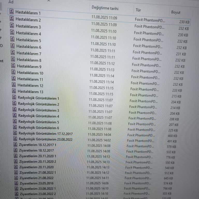 Sağlık Sigortası İşlemlerinde Evrak Toplama Zorluğu Ve Destek Eksikliği