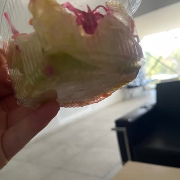 Hijyen Ve Kalite Sorunları Nedeniyle Mağduriyet Ve İade Talebi