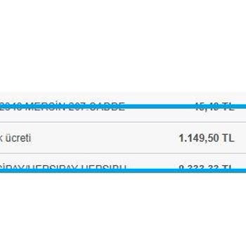 Akbank Axess Platinum Kartıma Haksız Üyelik Ücreti Yansıtıldı