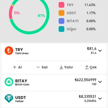 Bitay Coin'lerimi Satamıyor Ve Çekemiyorum, Destek Bulamıyorum