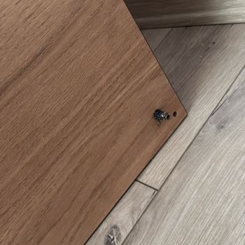 Kırık Gelen Makyaj Masası İçin İlgisiz Ve Yetersiz Destek