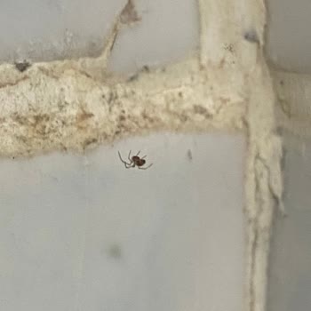 Tatilbudur Otel Ve Acente Hizmetlerinden Memnun Kalmadım