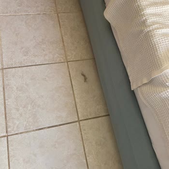 Tatilbudur Otel Ve Acente Hizmetlerinden Memnun Kalmadım