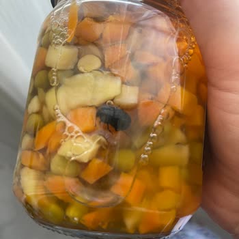 Aldığım Garnitürün İçinde Böcek Çıktı, Sağlık Riskiyle Karşı Karşıyayım