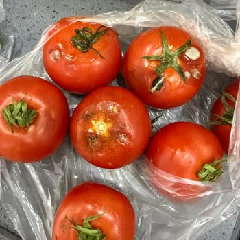 Migros Hemen Siparişimde Çürük Ürünler Ve Ücret İadesi Sorunu Yaşadım