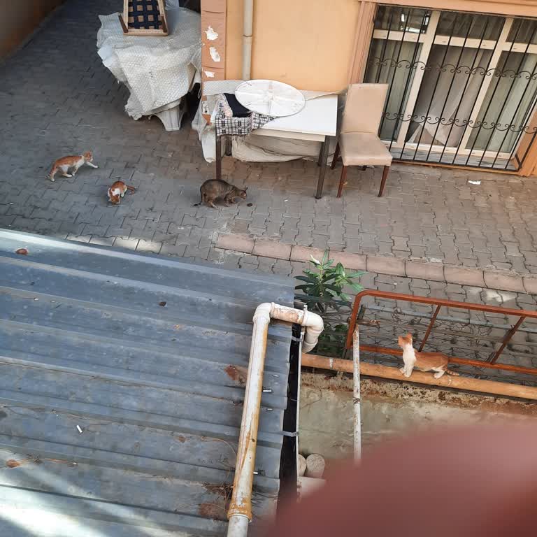 A101'den Aldığım Torku Köftede Kötü Koku Ve Tortu