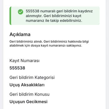 Ajet Uçuşunda Gecikme, Güzergâh Değişikliği Ve Ek Masraflar Nedeniyle Mağduriyet