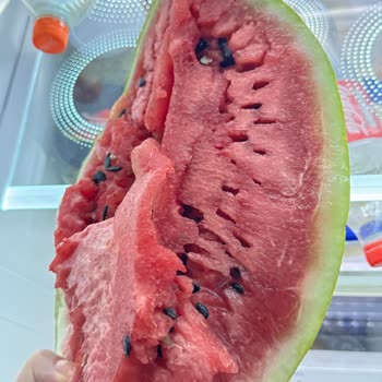 A101'den Aldığım Karpuz Çürük Çıktı, İade Veya Değişim Talep Ediyorum