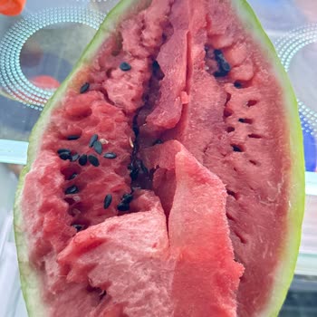 A101'den Aldığım Karpuz Çürük Çıktı, İade Veya Değişim Talep Ediyorum