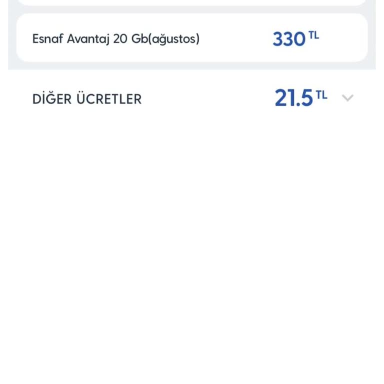 Yurt Dışına Çıkmadan Yüksek Fatura Yansıtıldı