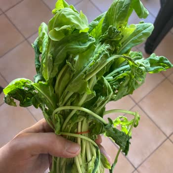 Migros Sanal Market'ten Çürük Roka Teslimatı Ve Tekrarlayan Taze Ürün Sorunu