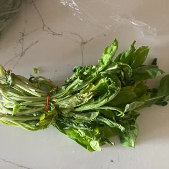 Migros Sanal Market'ten Çürük Roka Teslimatı Ve Tekrarlayan Taze Ürün Sorunu