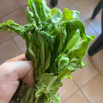 Migros Sanal Market'ten Çürük Roka Teslimatı Ve Tekrarlayan Taze Ürün Sorunu