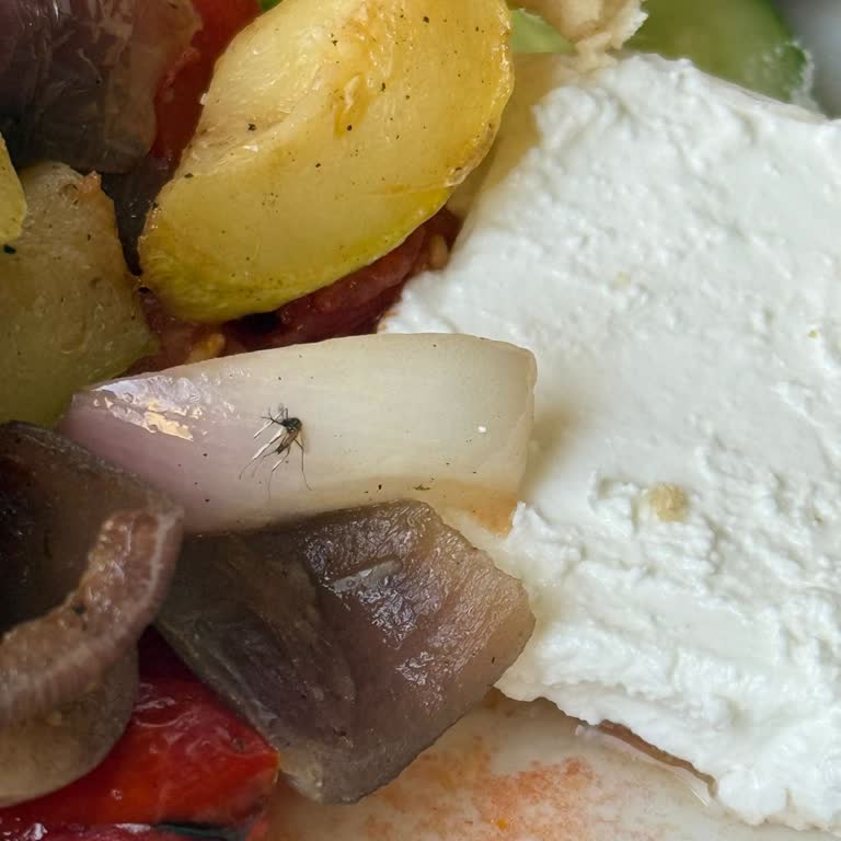 Pronto Tour İle Mısır Turunda Otel Ve Hizmet Mağduriyeti