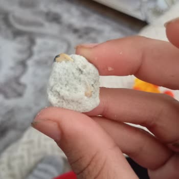 Aldığım Çekirdek Paketinden Yabancı Madde Çıktı, Sağlığım Tehlikeye Girdi