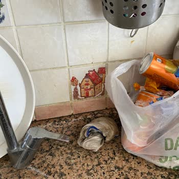 Armut Üzerinden Alınan Temizlik Hizmeti Yerine Getirilmedi, Ücret İadesi Ve Özür Talebi