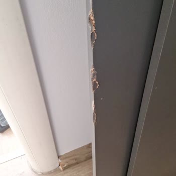 Montajix, Aeka, Horoz Lojistik Şikayeti