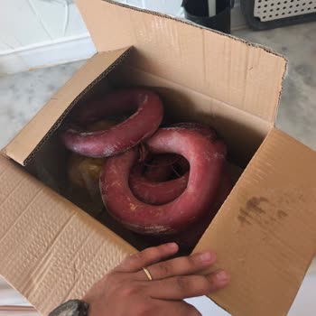 Yörem Sucukları Afyon Paketleme Yapmadan Kutuda Gönderdi