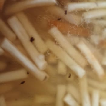 Ambalajında Böceklenmiş Erişte Şoku: Sağlığımız Tehlikede!