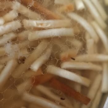 Ambalajında Böceklenmiş Erişte Şoku: Sağlığımız Tehlikede!