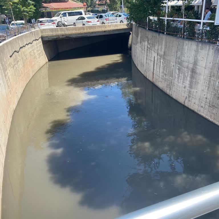 Kötü Hijyen, Yetersiz Hizmet Ve İlgisiz Müşteri Desteği