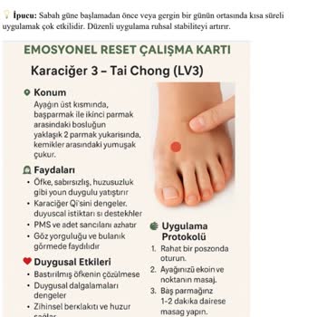 PDF Dosyası Sonrası WhatsApp Hesabım Hacklendi, Güvenlik Önlemi İstiyorum