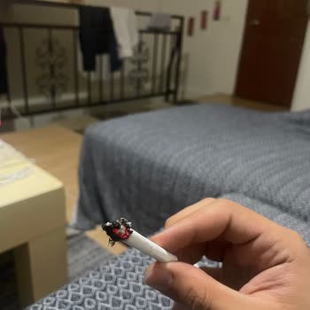 Marlboro Touch Blue Paketinden Sigara Yerine Odun Gibi Maddeler Çıkıyor