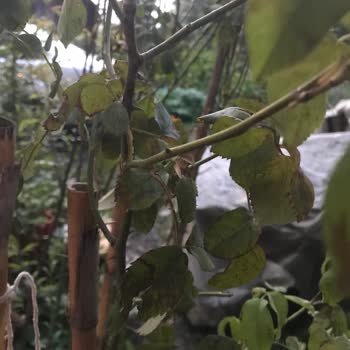 Yanlış Ürün Ve Çifte Kargo Ücreti Mağduriyeti