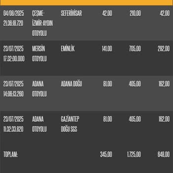 Sistem Hatası Nedeniyle Otoyol Borcumu Ödeyemiyorum