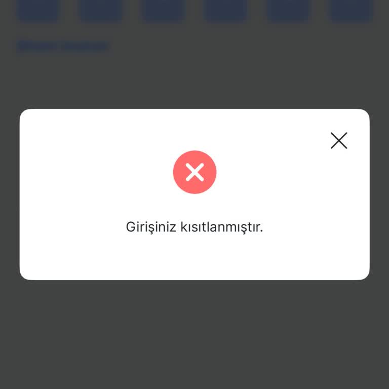 Hesabıma Erişim Engellendi, Çözüm İçin E-posta Da Çalışmıyor