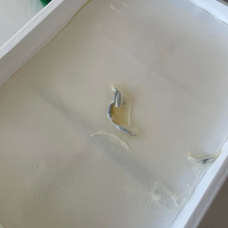 Süzme Peynirde Küf ve Yabancı Madde Şikayeti